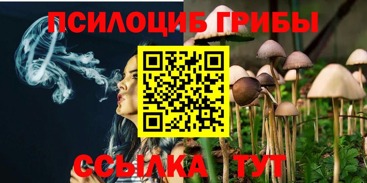 Галлюциногенные грибы Psilocybine cubensis Карпинск