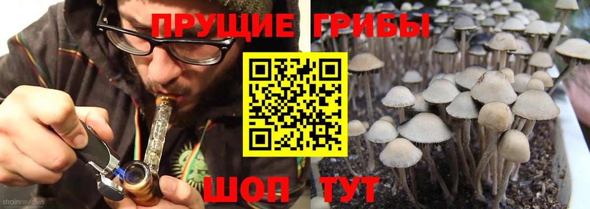 Карпинск  Псилоцибиновые грибы ЛСД  Вход с VPN  Псилоцибиновые грибы прущие грибы 